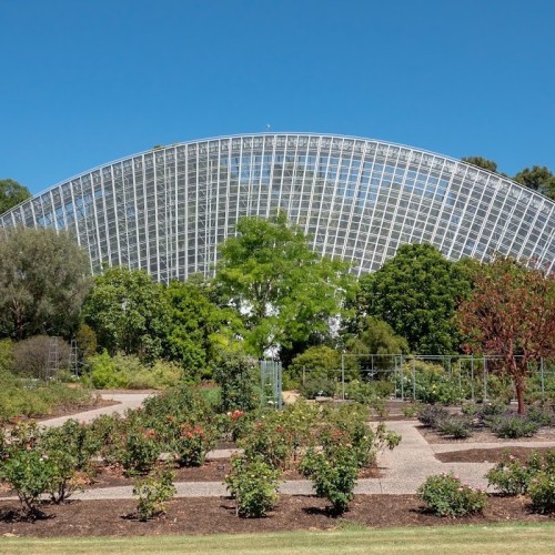 Adelaide Botanic Garden