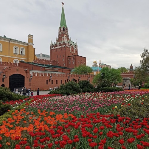 Alexander Garden