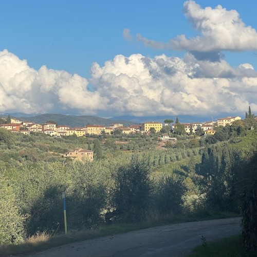 azienda agricola La Querce