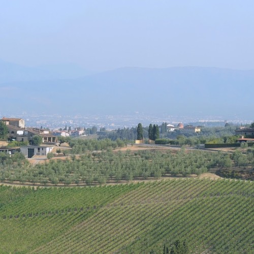 azienda agricola La Querce