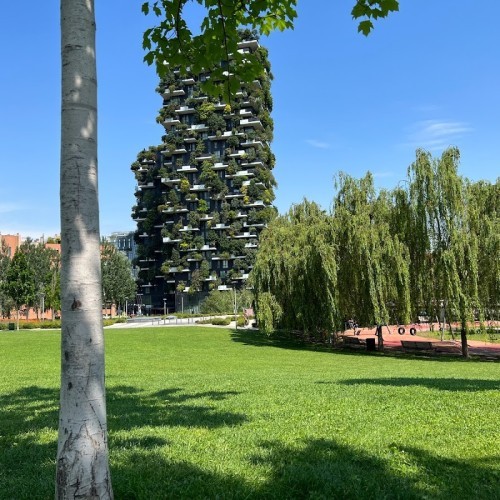 BAM Tree Library Milan