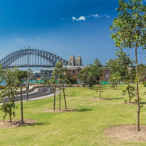 Barangaroo Reserve