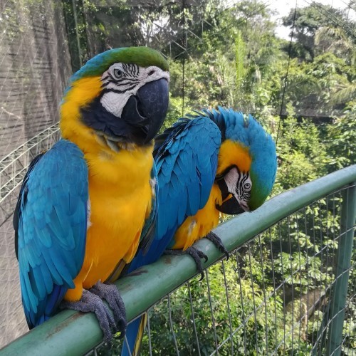 Biocentro Guembe Mariposario