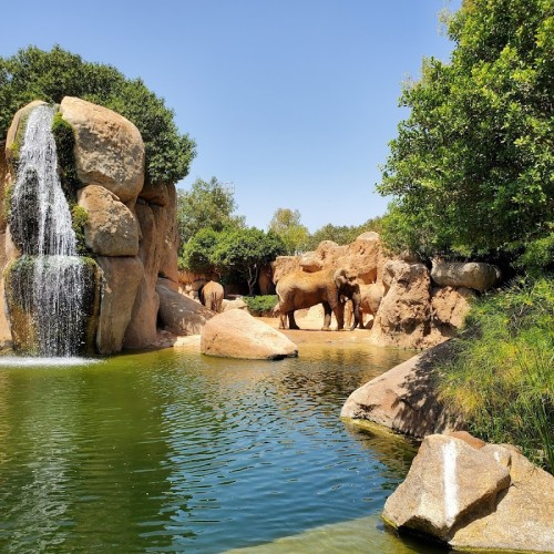 Bioparc Valencia