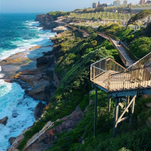 Bondi to Coogee Walk