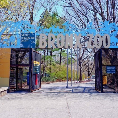 Bronx Zoo