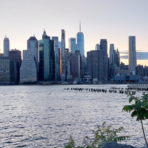 Brooklyn Bridge Park - Pier 1