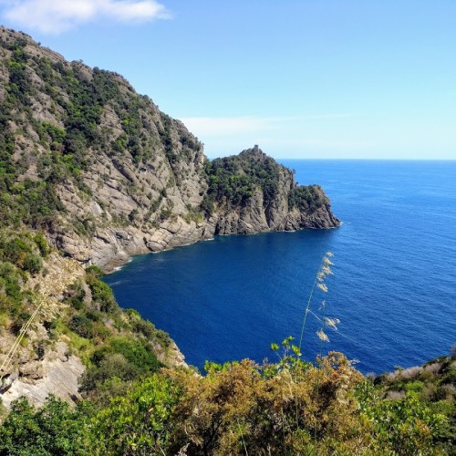 Cala dell'Oro