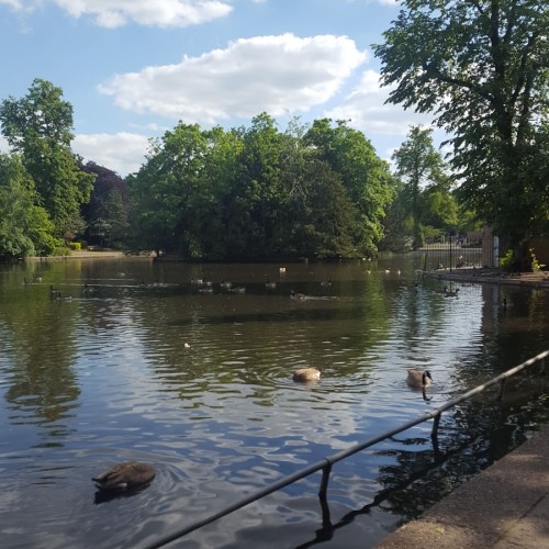 Cannon Hill Park