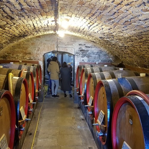 Cantina Del Glicine