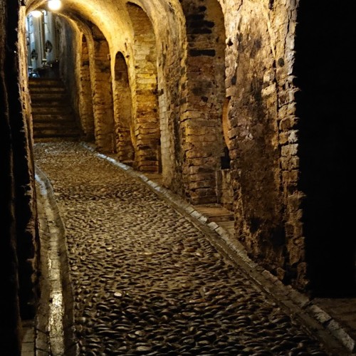 Cantina del Glicine