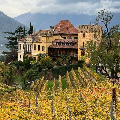 Castello Rametz - Wine Museum