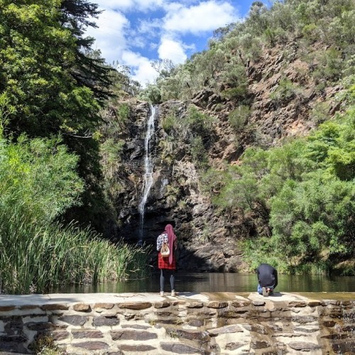 Cleland Conservation Park