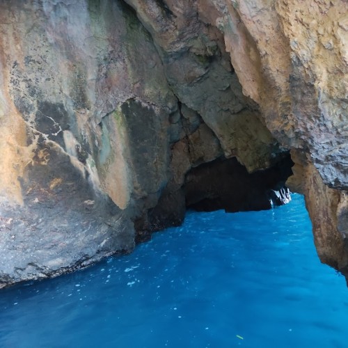 Cooperativa Cilento Mare