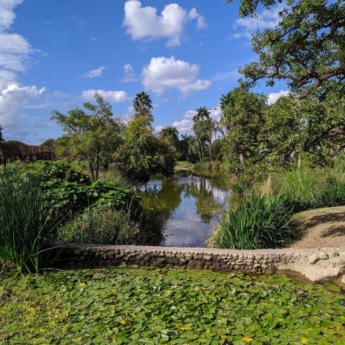 Córdoba Botanical Garden