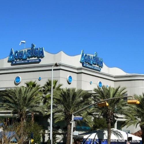 Downtown Aquarium