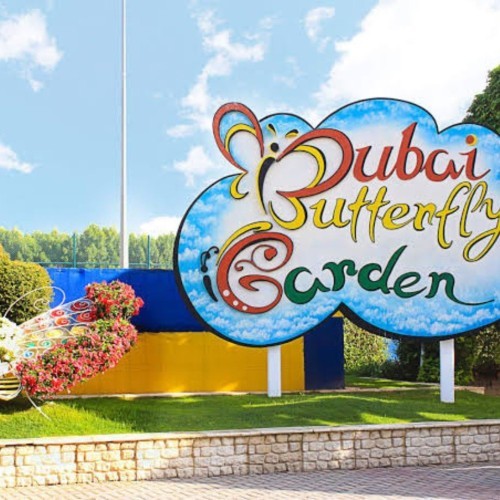 Dubai Butterfly Garden