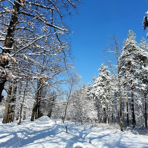 Dubovaya Alleya