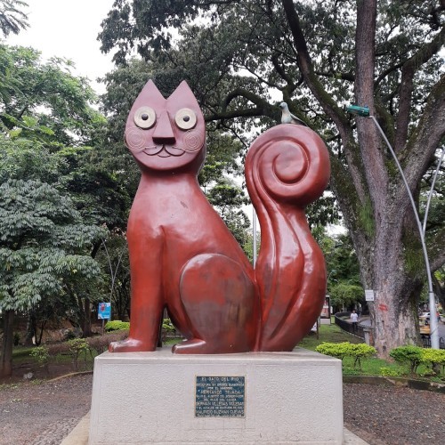 El Gato del Río