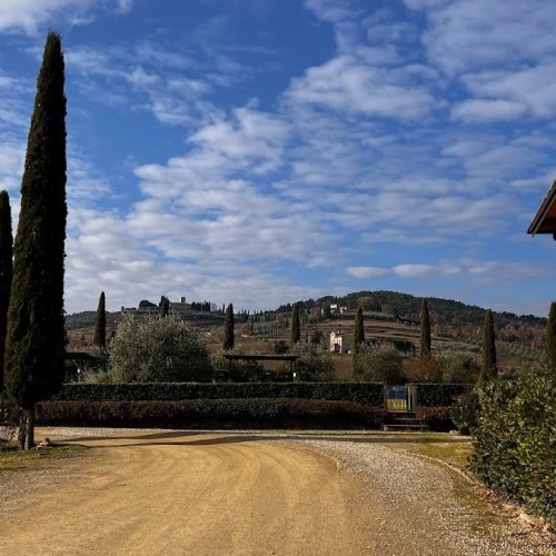 Fattoria Viticcio