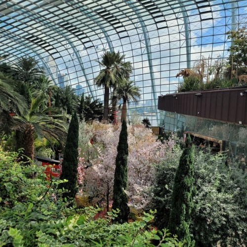 Flower Dome