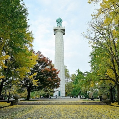 Fort Greene Park