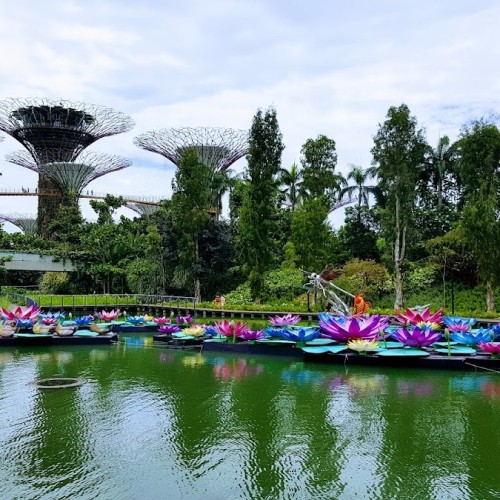 Gardens by the Bay