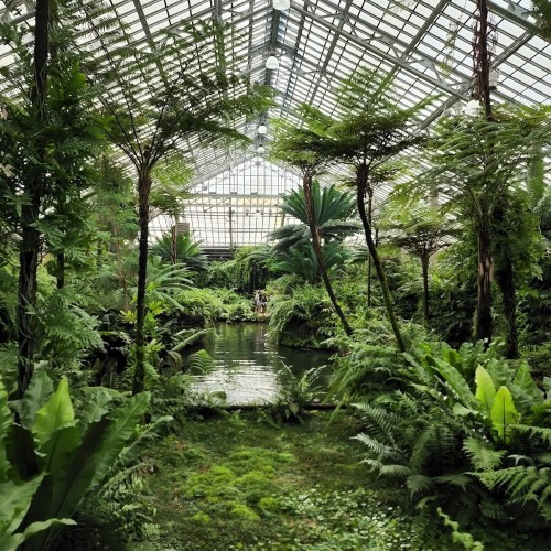 Garfield Park Conservatory