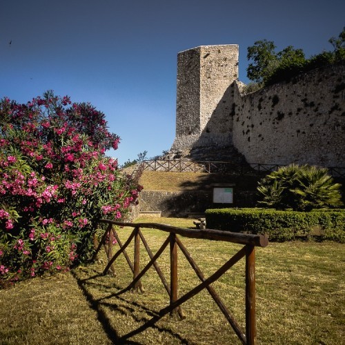 Giardini d'inverno