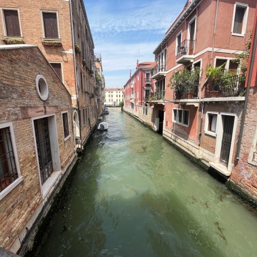 Giardini della Biennale