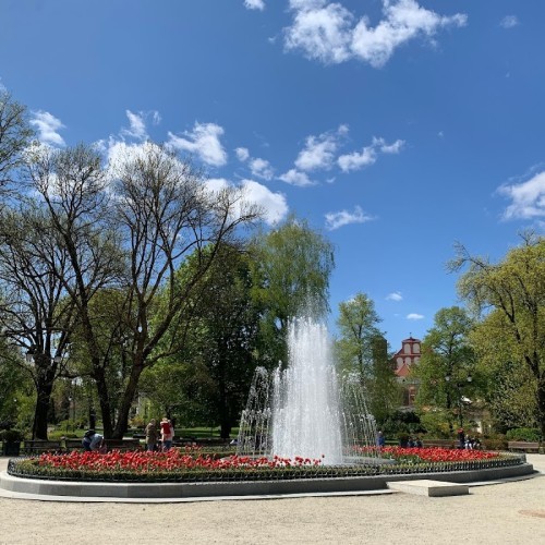 Giardino Bernardino del Parco Sereikiškės