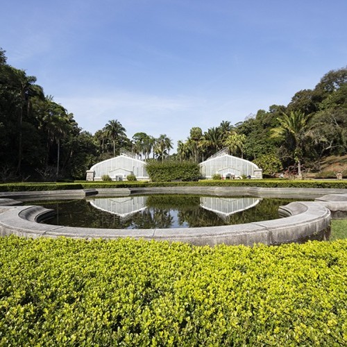 Giardino Botanico di San Paolo del Brasile