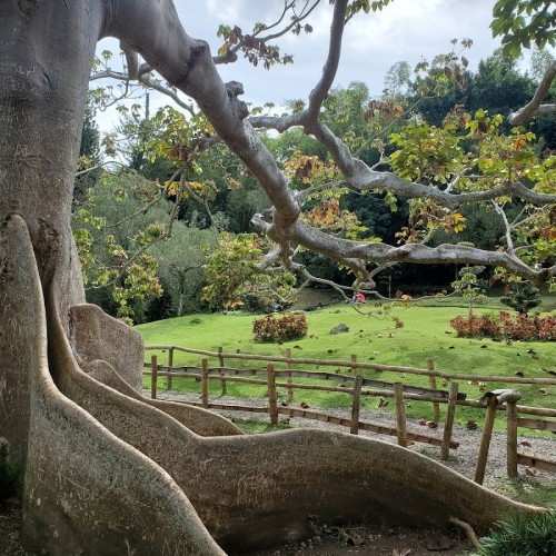 Giardino botanico nazionale Dr. Rafael María Moscoso