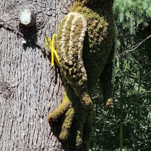 Giardino degli Animali