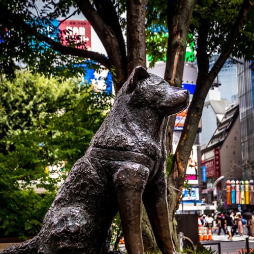 Hachikō Memorial Statue