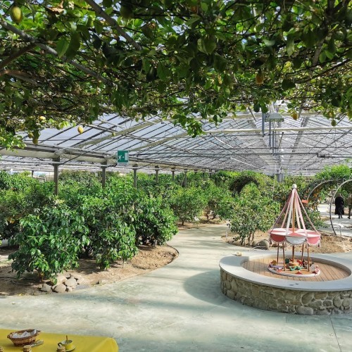 HESPERIDARIUM di Tintori - IL GIARDINO DEGLI AGRUMI