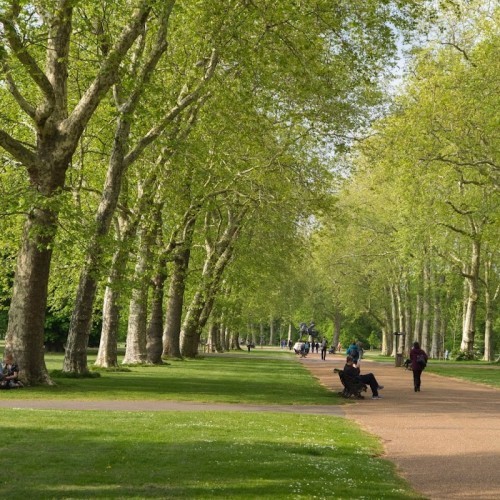 Hyde Park