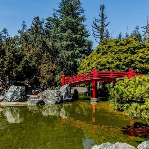 Japanese Friendship Garden