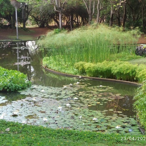 Jardín Botánico de Maracaibo