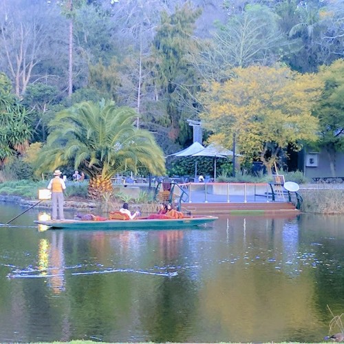 Kings Domain