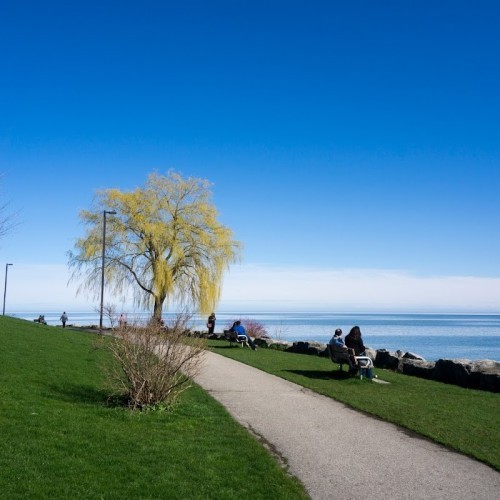 Lakefront Promenade Park