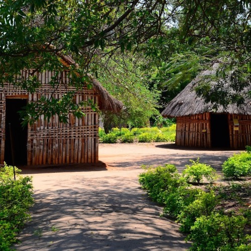 Makumbusho/ Village Museum, Mikocheni