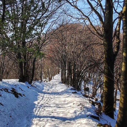 Monte Bellavista