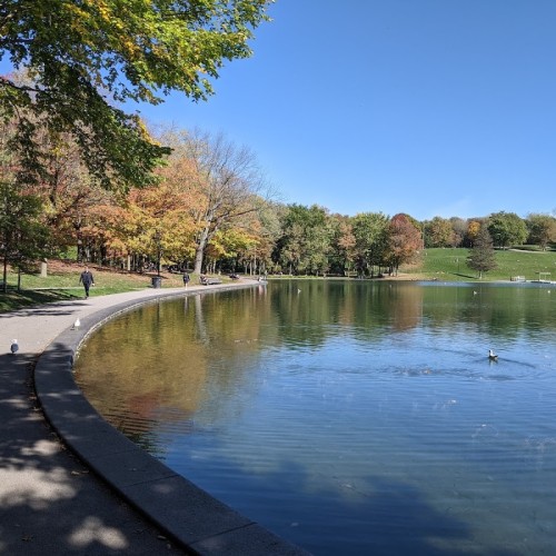 Mount Royal Park