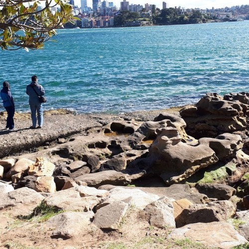 Mrs Macquarie's Chair