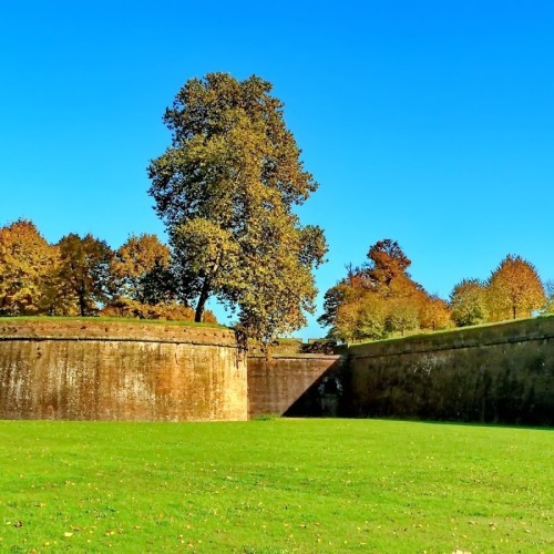 Mura di Lucca