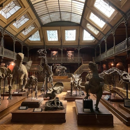 Musée Cinéma et Miniature