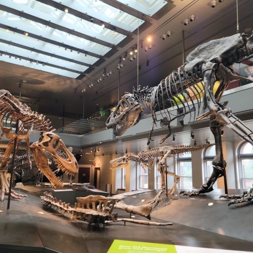 Natural History Museum of Los Angeles County