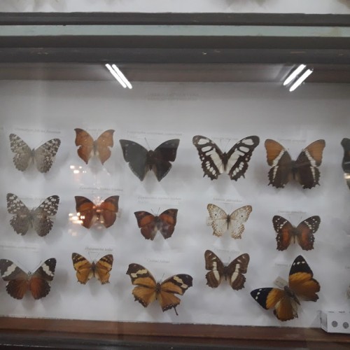 Noel Kempff Mercado Natural History Museum