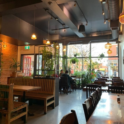 Omnivore St-Laurent